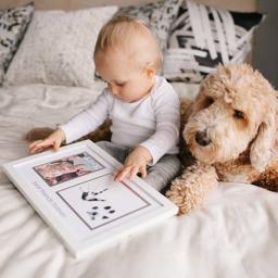 Pawprints Billedramme Til Væg Med Hund & Barn Foto & Aftryk Hvid